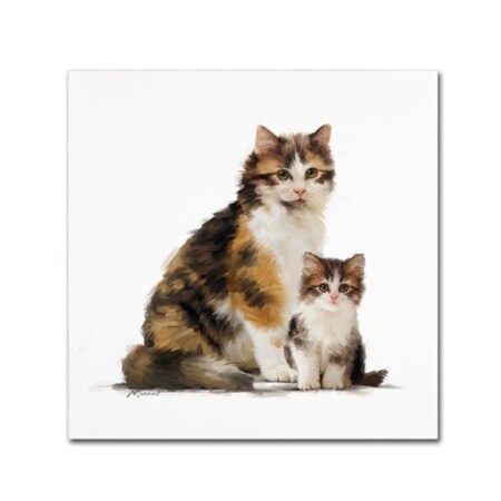 Trademark Fine Art The Macneil Studio 'Tortoiseshell' Canvas Art